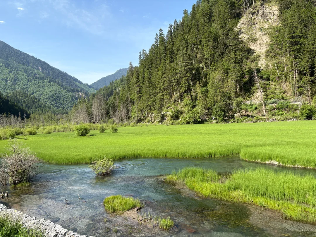 土木转码｜我是怎么刷算法题的