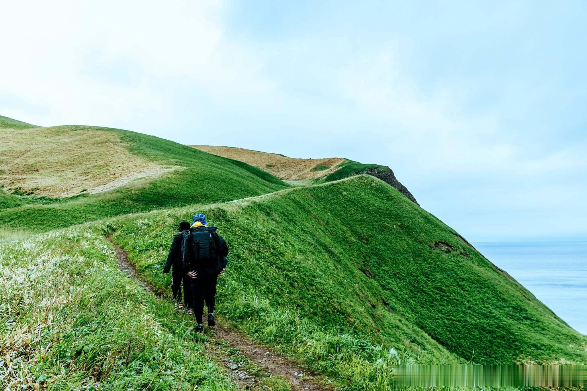北海道最北边，藏着一座“花之浮岛”🌼
如果你喜欢徒步、山海和夏天开满野花的草原，那礼文岛会是一个值得了解的地方。
从北海道一路向北，越过稚内，坐船来到日本海上的礼文岛。这里没有被高大树木遮住的山景，绿色草原沿着起伏的山丘一直延伸到海边，走在徒步小径上，一抬头就是大片山海🌊
礼文 ​