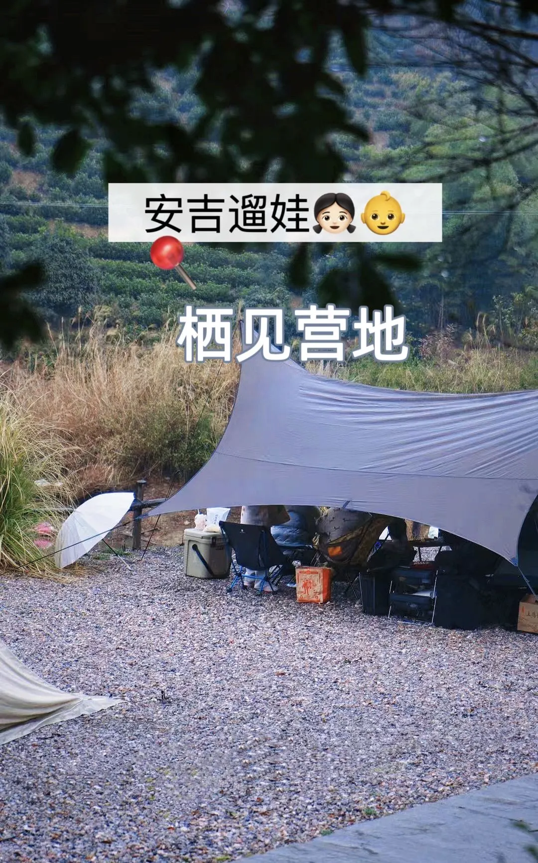 安吉遛娃|带娃去营地找春天