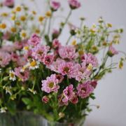 诗风的小时光