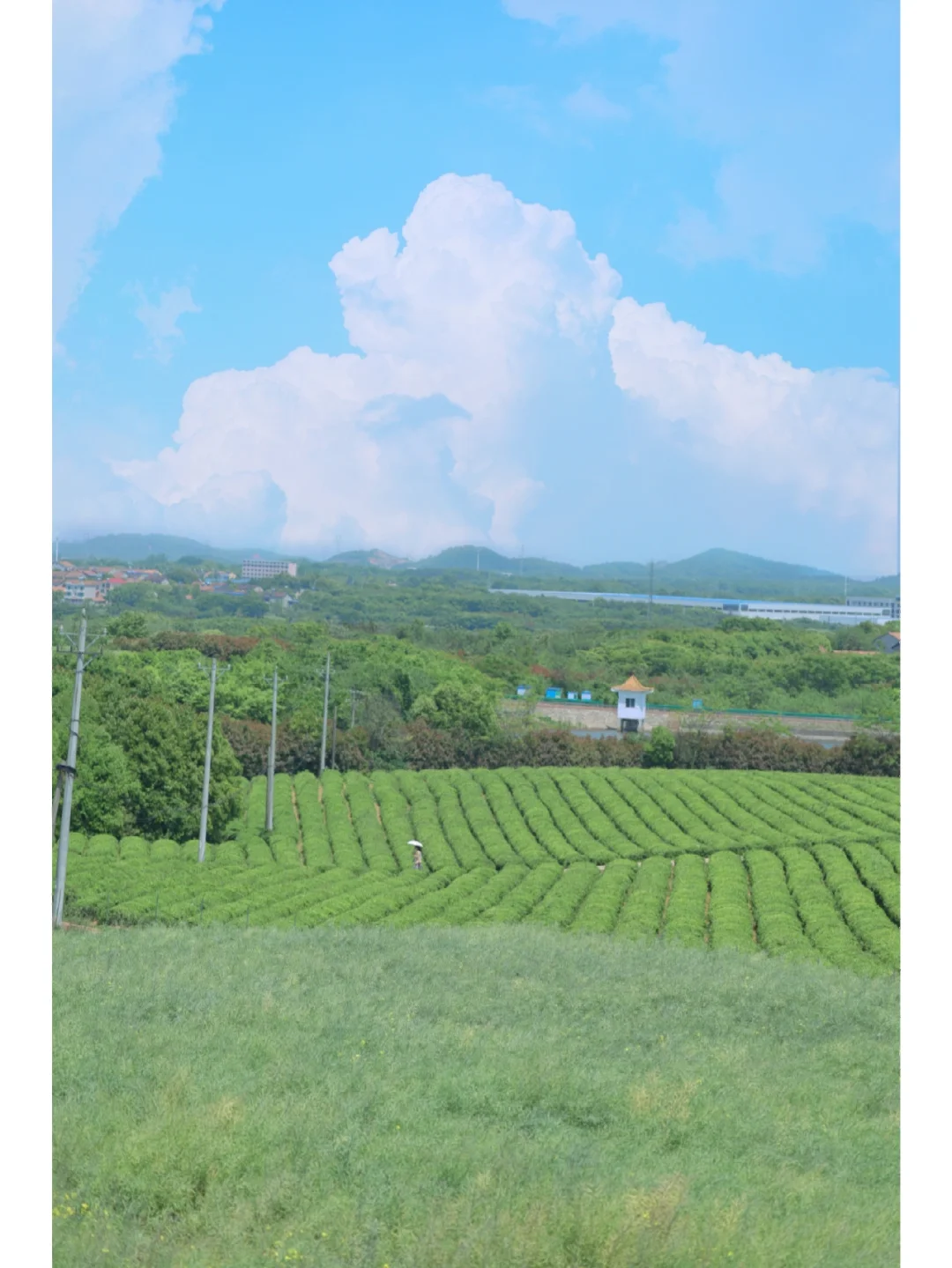 武汉舍不得公开的9个秘境！治好了精神内耗