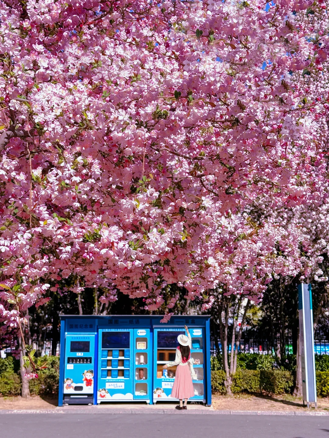 迄今为止‼️我最爱的北京春日Citywalk路线🌸