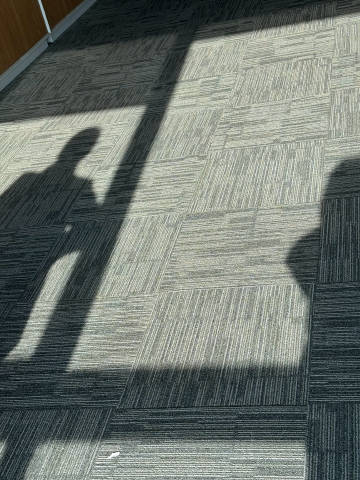 有点搞笑我和一个同事就在公司向阳的地方晒太阳但是两个人各自带着耳机玩手...