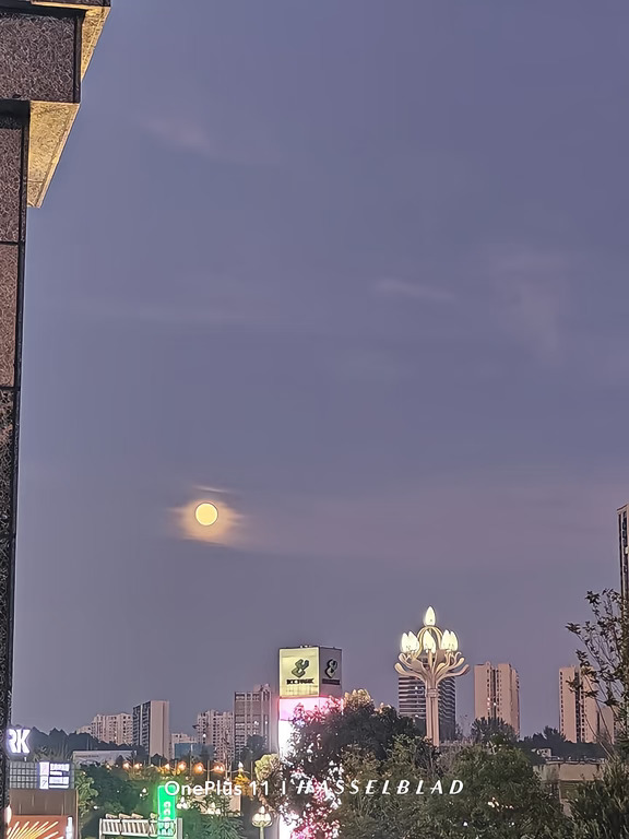 城市月色图鉴
