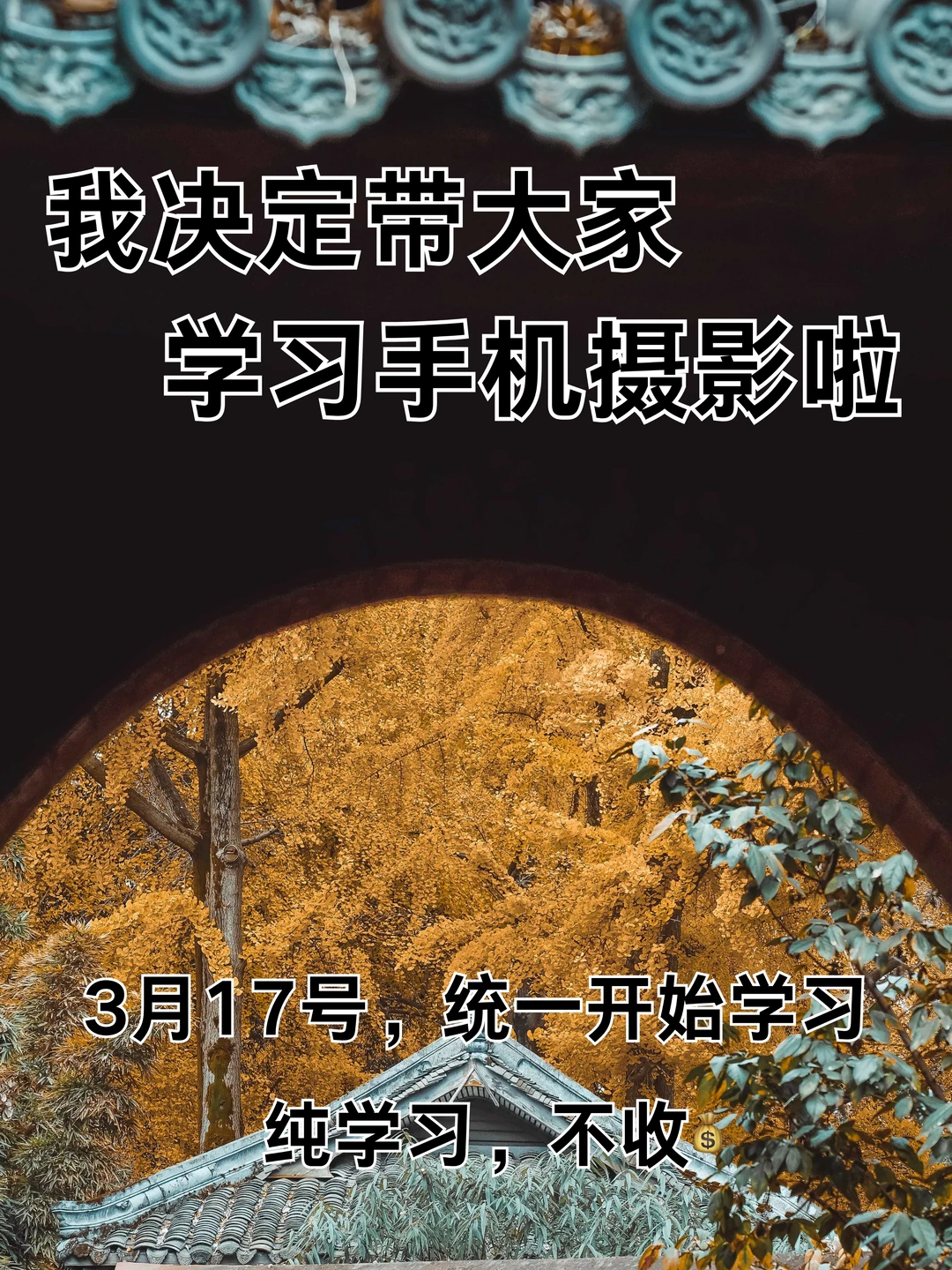 我决定带大家学习手机摄影啦！！