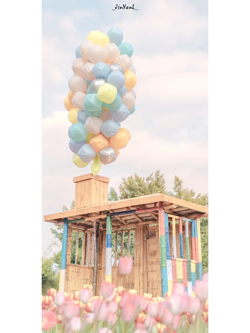 厦门拍摄｜没有郁金香壁纸的春天不完整‼️