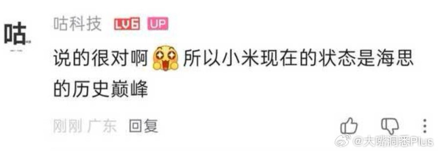 小米现在的状态是海思的历史巅峰！

这个内胎公公说出这句话，他是有多不了解华为海思，以为华为海思只有麒麟芯片？ ​