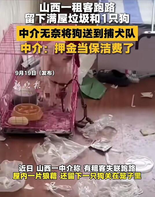 【山西太原一租客失联跑路，留下满屋垃圾和一只狗】

近日，山西太原中介康先生称，有租客失联跑路，屋内一片狼藉，还留下一只狗关在笼子里。康先生表示，本来就不允许养狗，自己无奈之下联系派出所，将狗送到了捕犬队，押金也没几百块，都抵作保洁费了。

来源：综合新晚报
编辑：少林