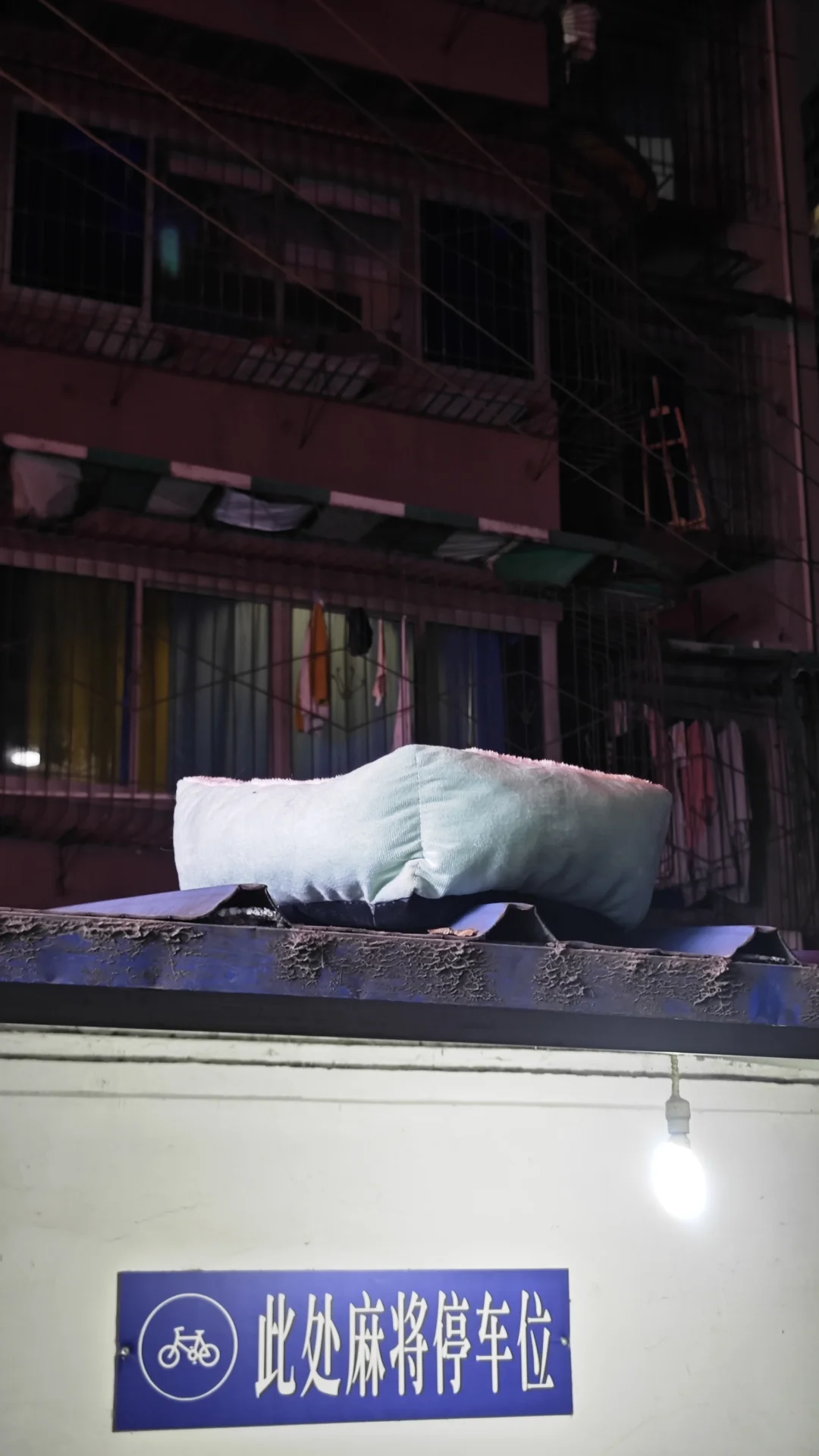 哪个猫猫在房顶睡啊～？