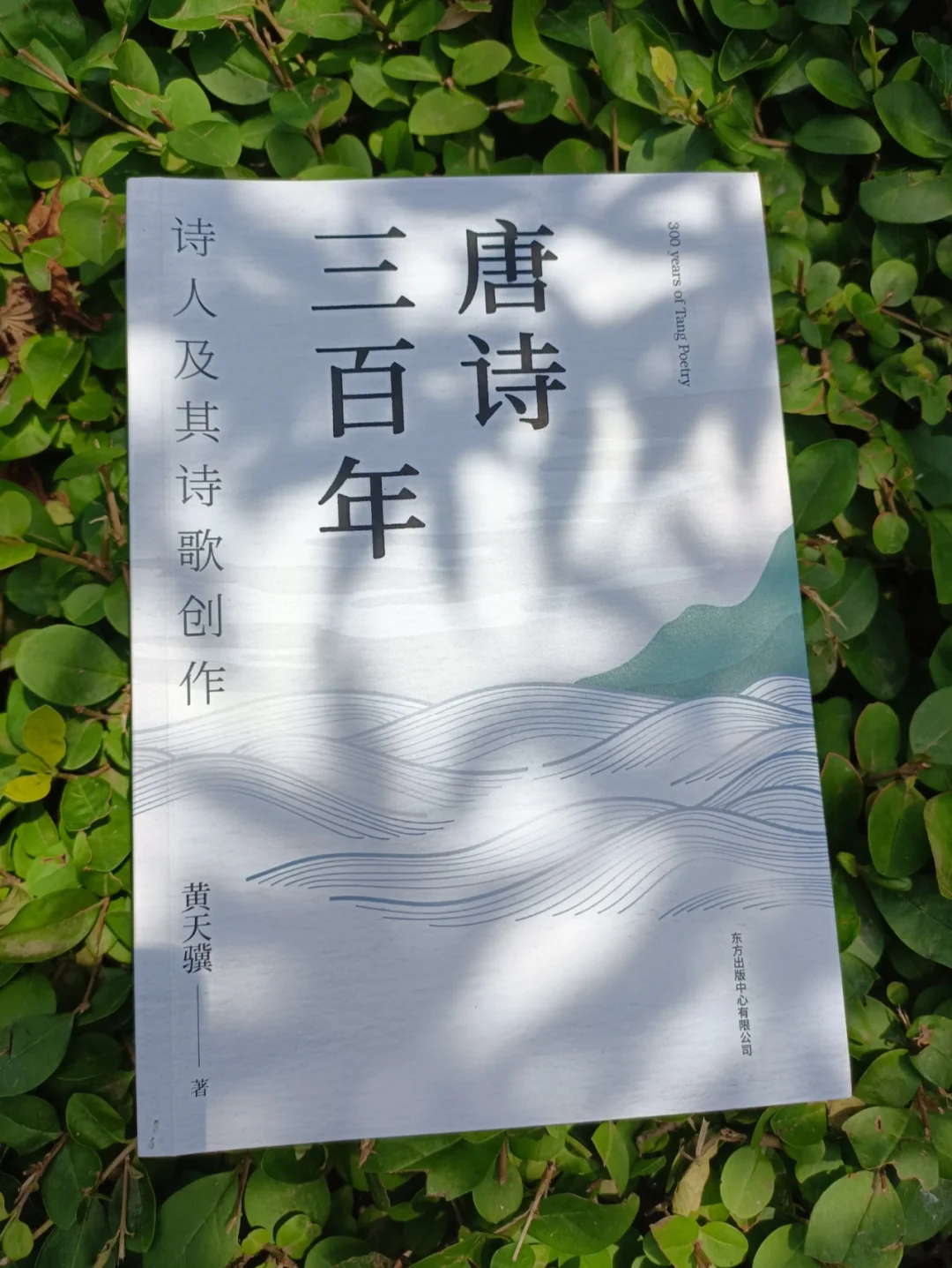 说出5个唐朝诗人，除了李白杜甫