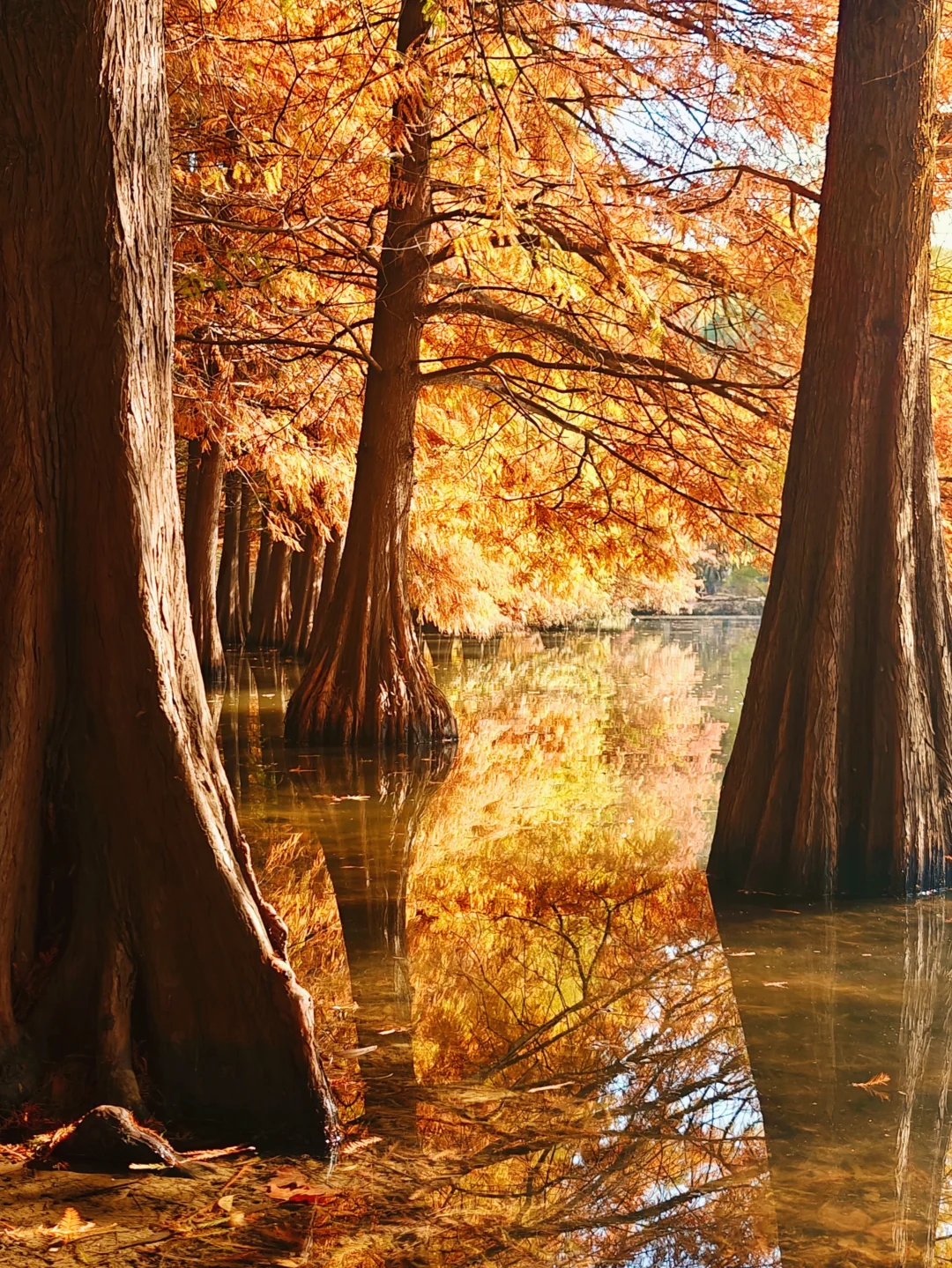 明孝陵 | 在热门景区找冷门景点