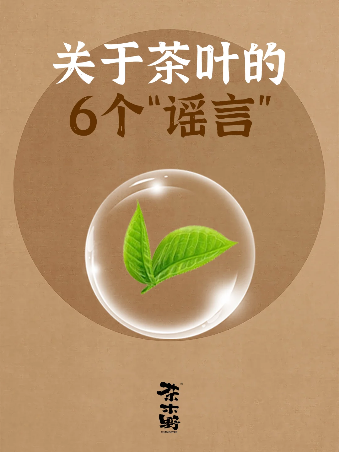 知识分享丨茶叶圈6大经典谣言