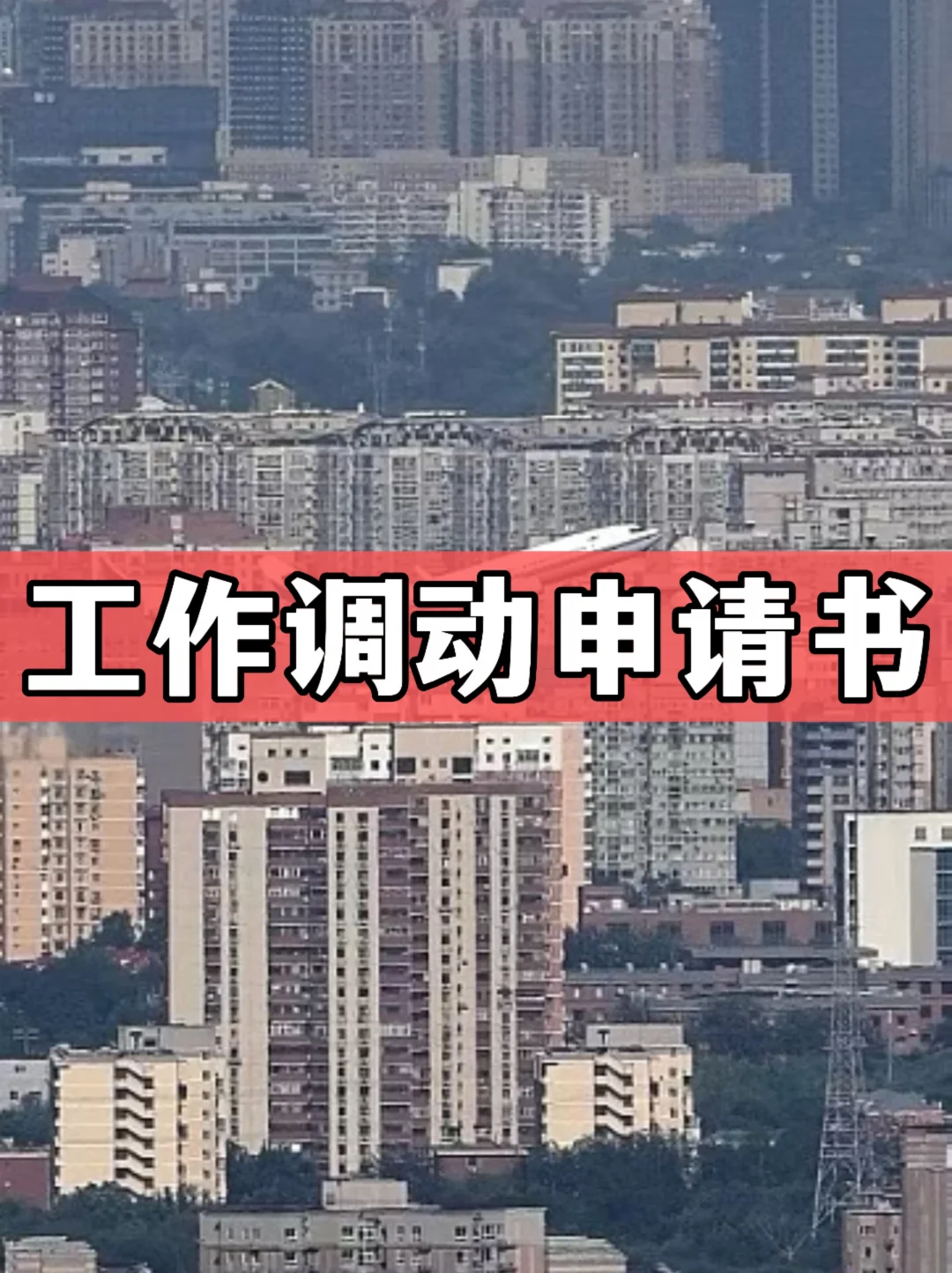 工作调动申请书