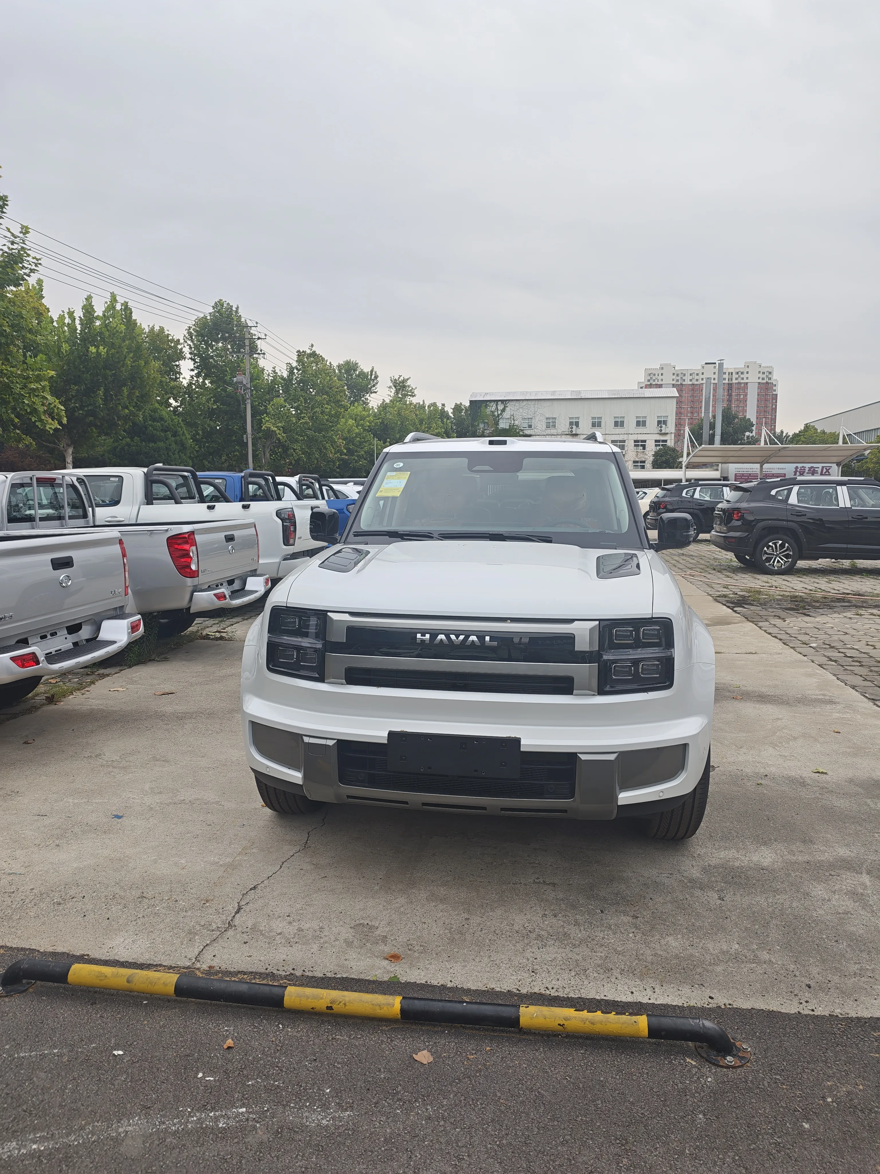 楼下拍到长城H10，实车气场真不一样
 
上班楼下就是一家4S店，店里主要摆哈弗、欧拉还有皮卡车型，有点小遗憾，店里没有WEY和坦克。
 
今天随手拍新车，第一次近距离见到长城H10。
网上看图感受不出大小，走到实车旁边才直观感受到，这车是真的大。
前后、侧面都配备摄像头，一方面日常开车、倒车更安全