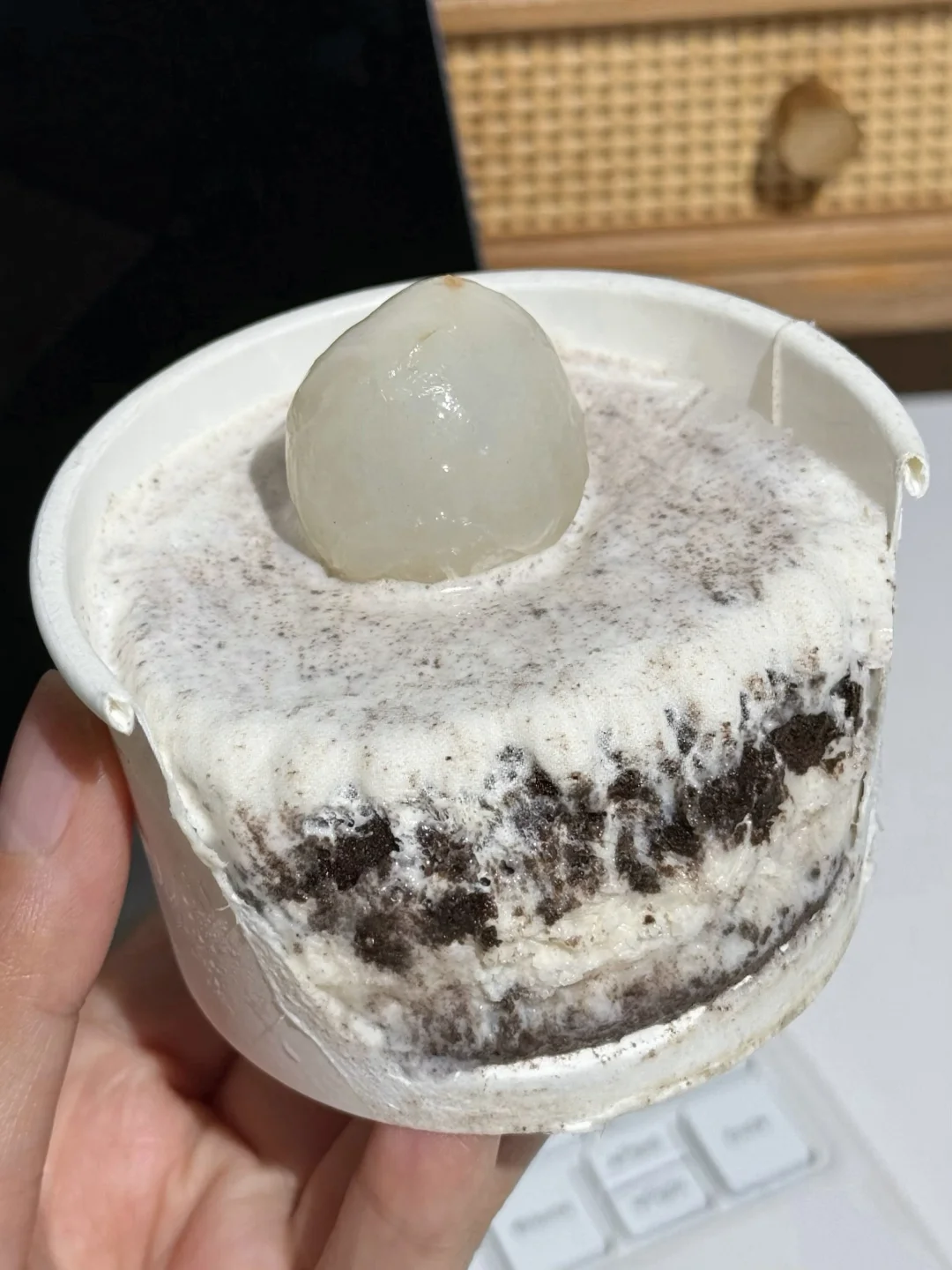 谁发明的荔枝gelato！啃爽了！！！