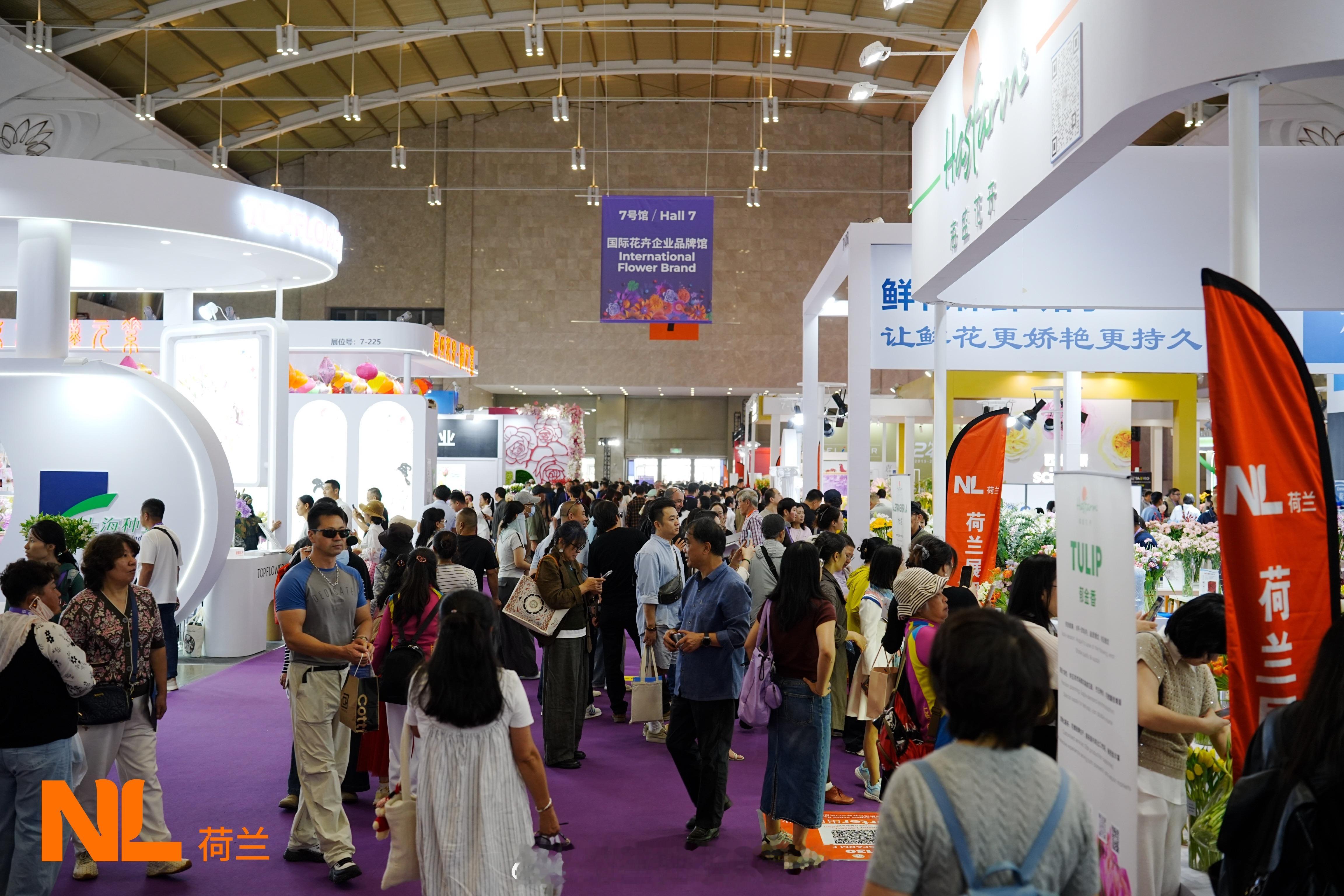 荷兰国家展团，今天亮相昆明！🌷
第24届中国昆明国际花卉展暨IFEX昆明国际花卉园艺展今天开幕，荷兰国家展团携多家荷兰花卉与温室园艺企业参展，覆盖种苗育种、温室设备、智慧农业、采后处理与物流等多个环节。荷兰驻华公使霍齐德出席开幕并致辞，与中荷双方行业伙伴交流花卉产业发展。从新品种育种 ​