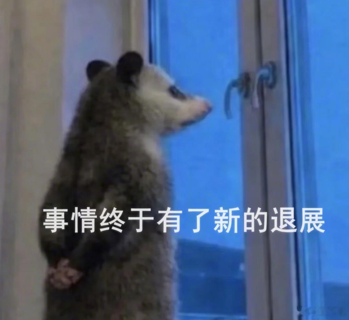 世界上懒人多还是勤快的人多？毫无疑问，是懒人多，所以勤快本就是普通人最...