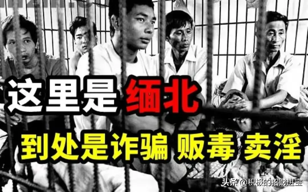 大伙快看！公安部和央视联合拍的《缅北电诈覆灭纪实》第三集《共筑天网》上线了！这集专讲咱们国家的硬实力：从中缅联手端掉木姐的电诈窝点，到中缅泰一起清剿妙瓦底的黑窝，再到牵头建国际反诈联盟，把跨境反诈的纵深攻坚全过程拍得明明白白。就一句话：不管这帮骗子逃到天涯海角，国家铁定把他们揪回来！这底气，真给咱们