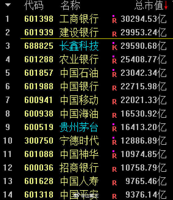 市值最大的一些公司 ​