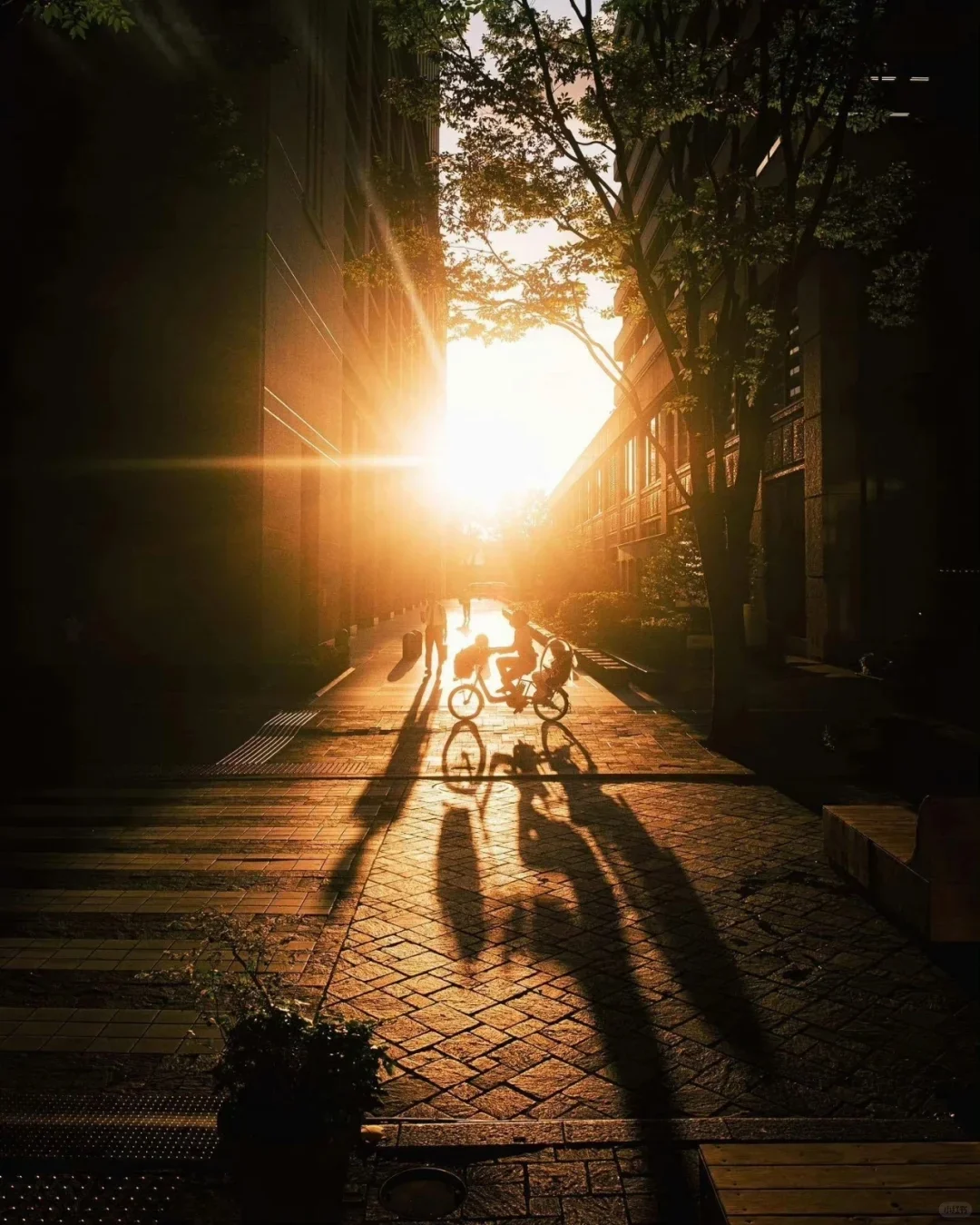 捕捉东京宁静与情感的杰出摄影师