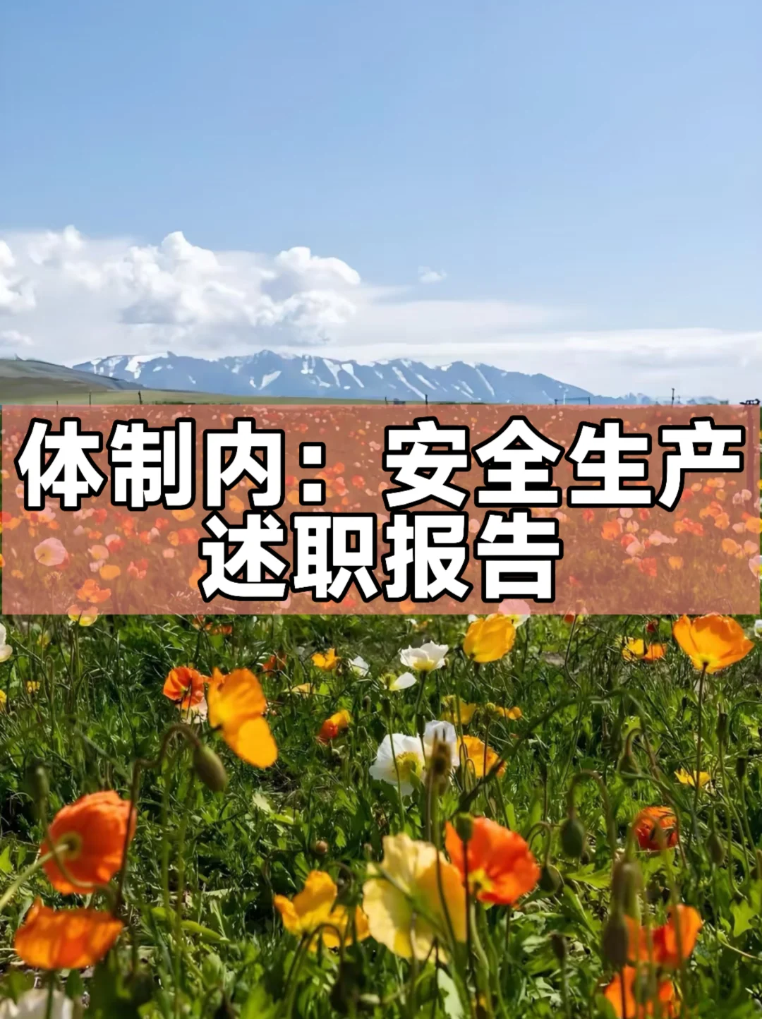 体制内：安全生产述职报告
