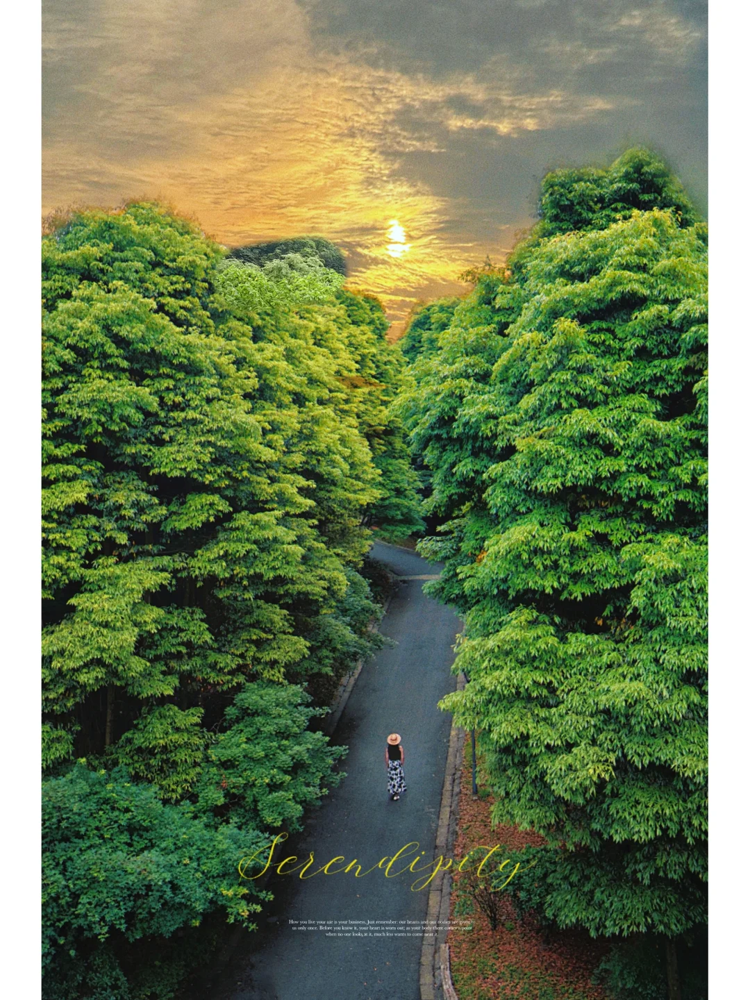 成都周末游｜我在花水湾找到一片小森林