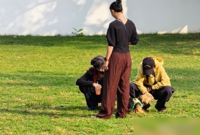狗仔镜头里，窦靖童和宋妍霏十指紧扣，在街上换手牵狗绳都没松开过。
10月30日北京那场聚餐后，两人就这么牵着狗溜达，视频里溜达得旁若无人。往前翻，2023年拍《她的生存之道》才认识，这才多久，已经一起逛大理、一起蹲奥森逗狗、宋妍霏还坐王菲旁边看窦靖童音乐节演出。
李嫣也跟着混熟了，三人同行被路人