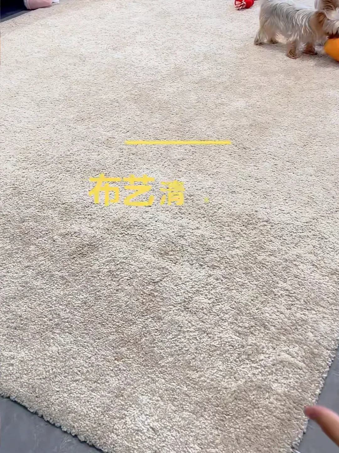 冬天就适合地毯