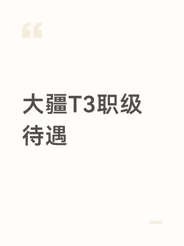 大疆T3职级待遇