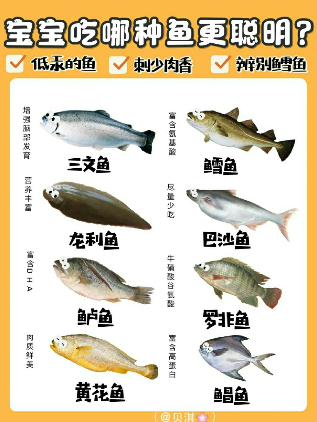 宝宝辅食鱼怎么选⁉️这些高汞鱼🐟不要吃