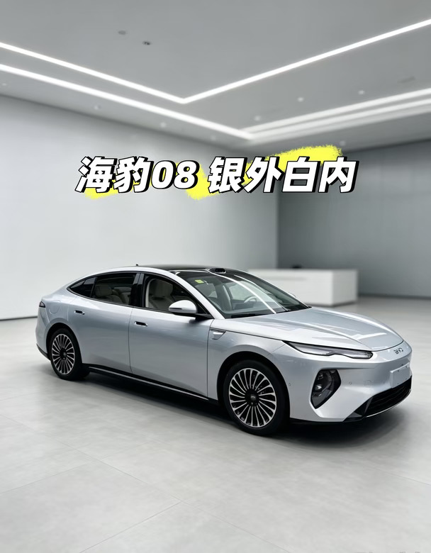 海豹08银外白内现车一台