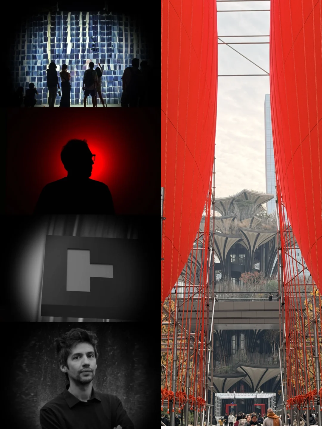 12月9日光影节，树万一周年活动