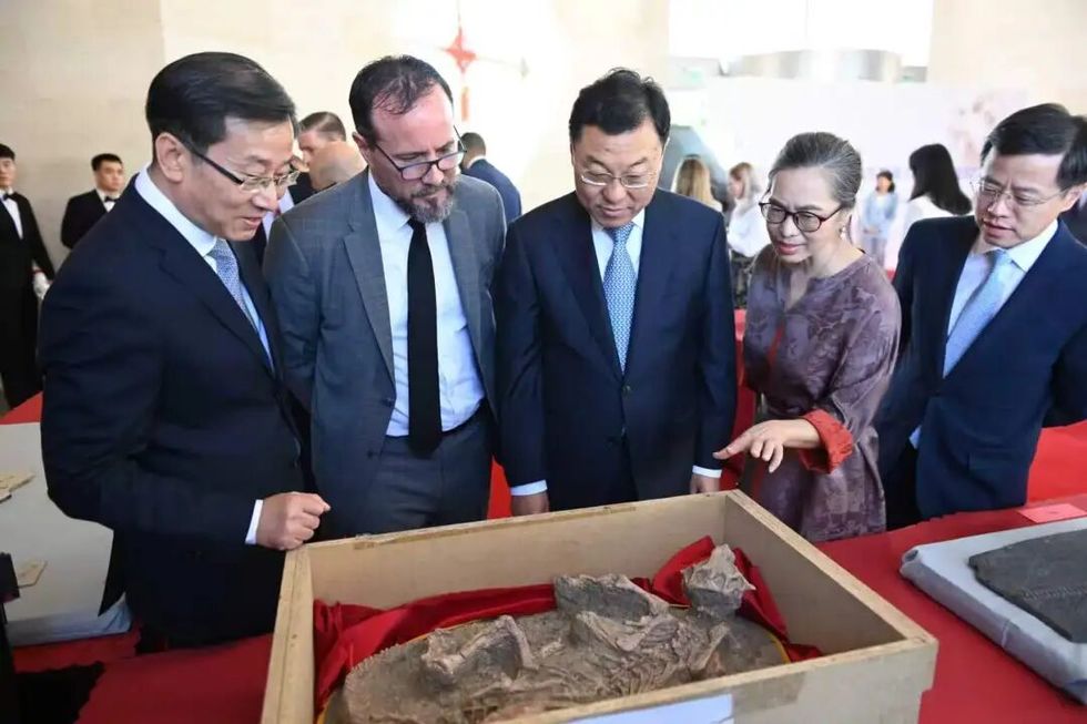 美国返还58件中国文物和化石，包括一尊百余年前被劫掠菩萨像。
 
这批回归的物件，涵盖石刻造像，陶俑，还有各类古生物化石。其中那尊菩萨造像，出自天龙山石窟，百年前遭到盗凿，从此流落异国他乡，辗转多个地方，历经漫长岁月，终于回到祖国的土地。每一件文物，都记录着一段过往，承载着我们民族的历史记忆。