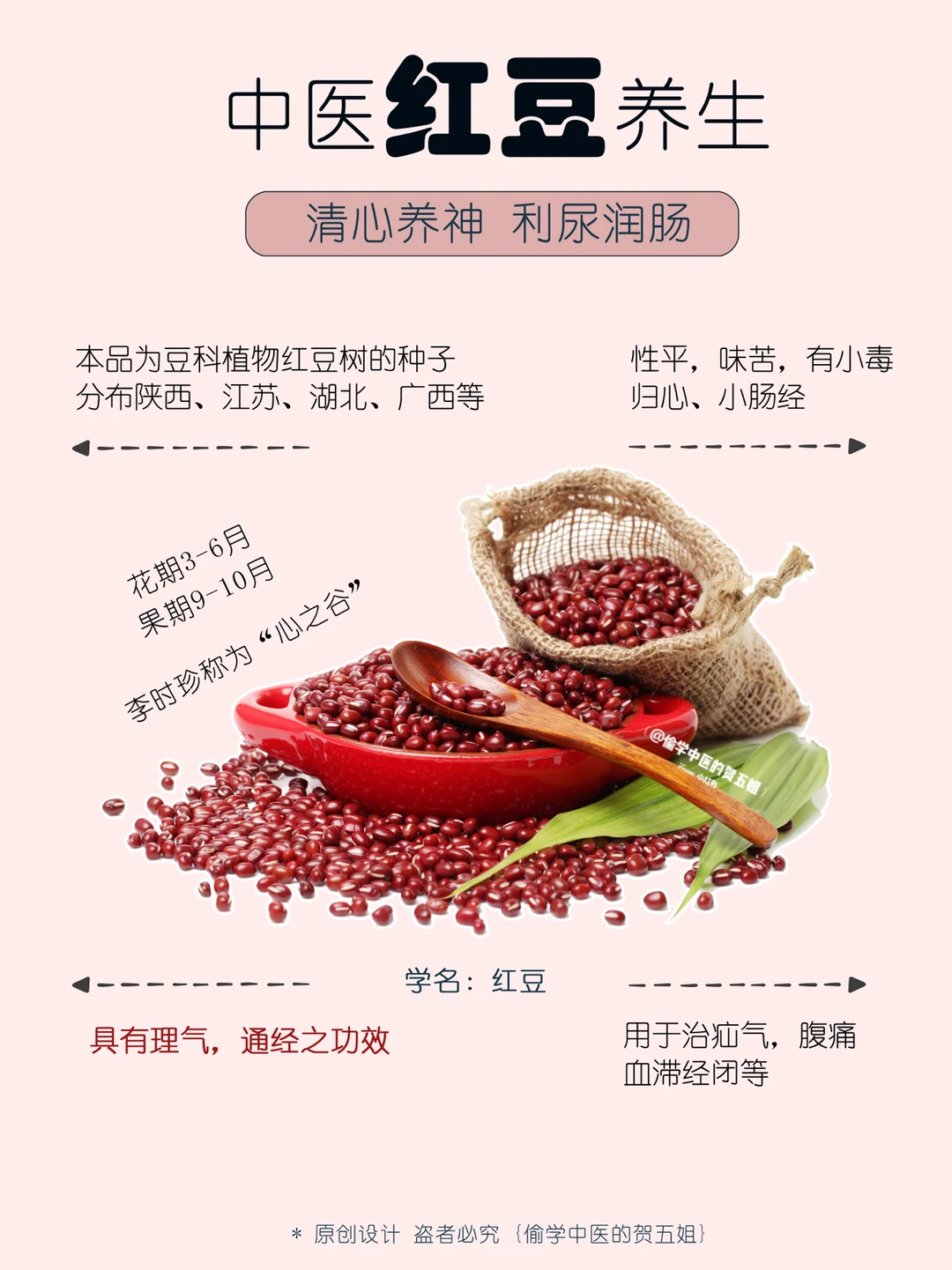 07养生课堂📝红豆🌿清心养神 祛湿排便🔥