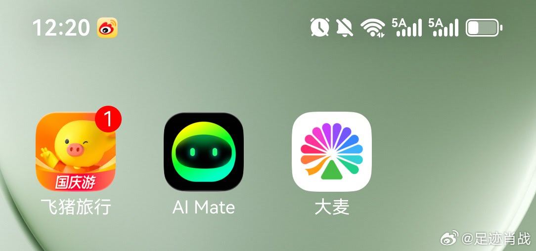 刚刚得知，抢演唱会的票是在这个叫   大麦  的软件里面。
其他的有没有，我不知道
不管了，先预约抢。抢不抢得到，后面再说。#肖战[超话]##肖战个人巡回演唱会# ​