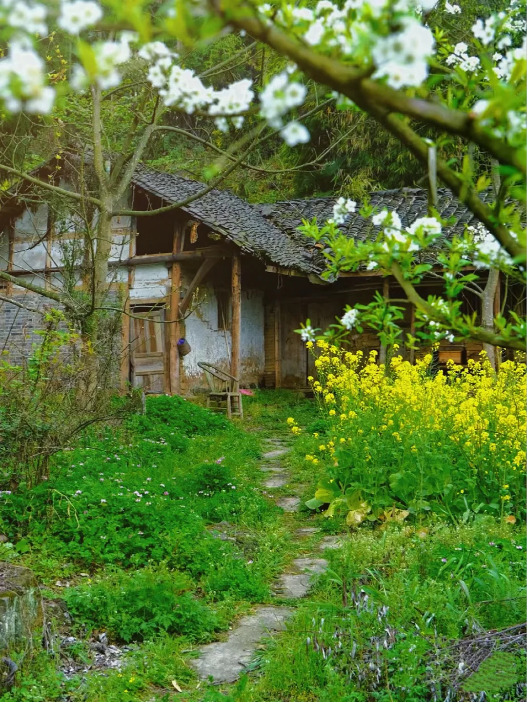 成都一日往返徒步秘境！感觉走进了世外桃源