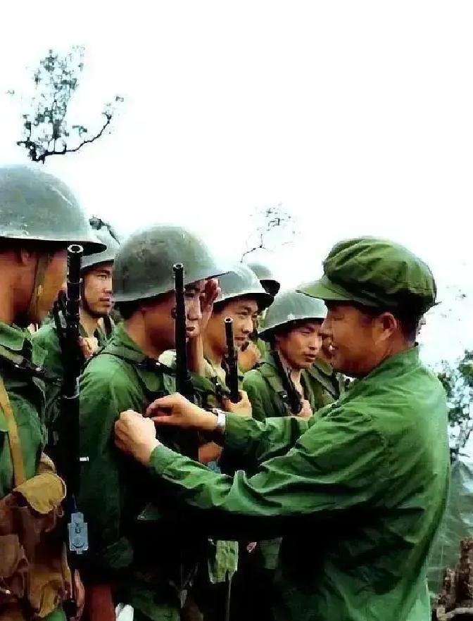 两山轮战期间，81式自动步枪凭借优良的战技性能，得到前线部队一致好评，对越军火力形成了压倒式优势。
 
老山前线，猫耳洞里闷得人发慌。李胜利把81式横在腿上，拆下弹匣，用布条慢慢擦。旁边的新兵小陈盯着看，喉结动了动。
 
“班长，这枪真像他们说的那么神？”
 
李胜利没抬头，“自己试试就知道了。”