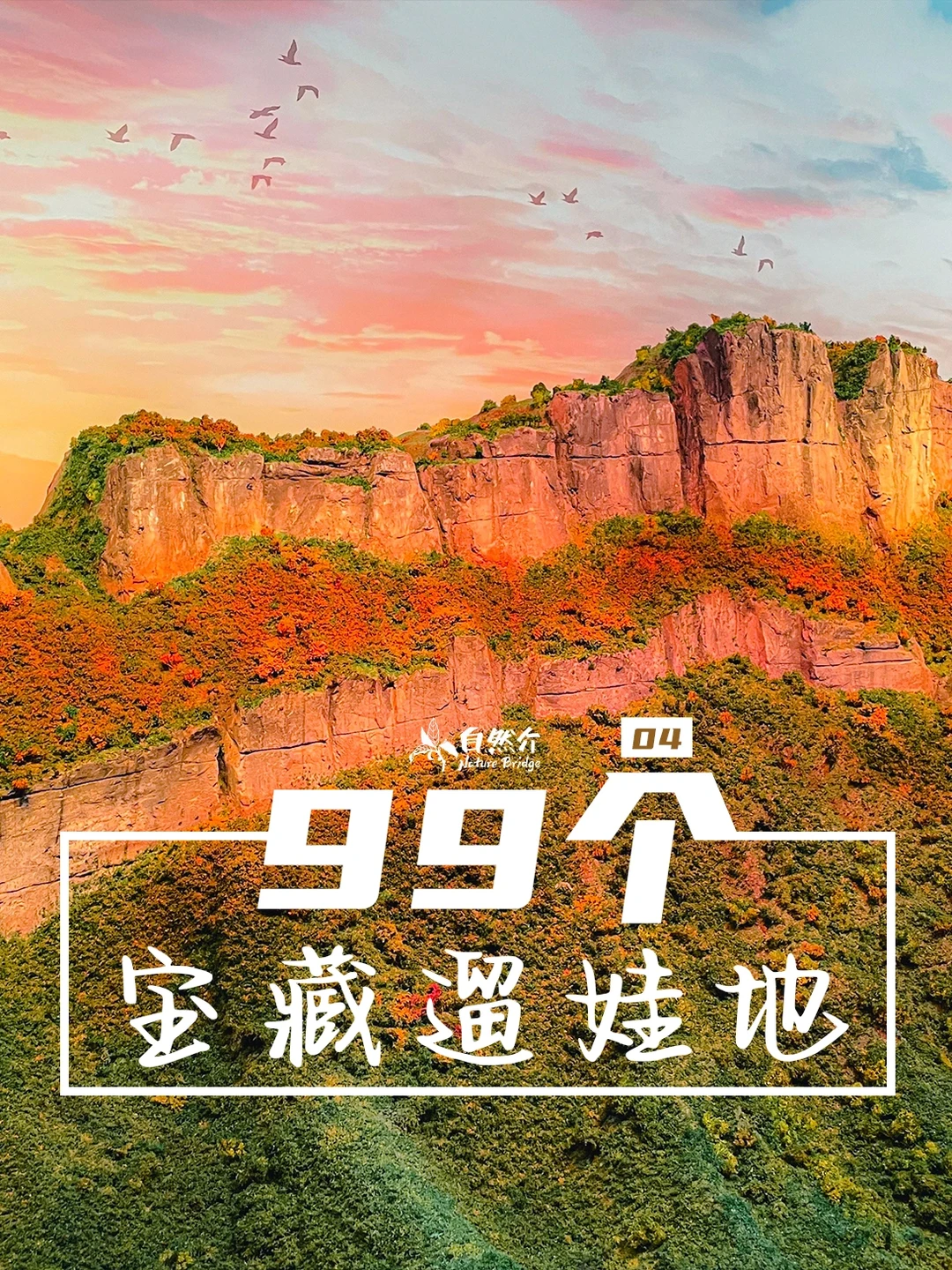 打卡99个宝藏遛娃地-重庆自然资源科普馆