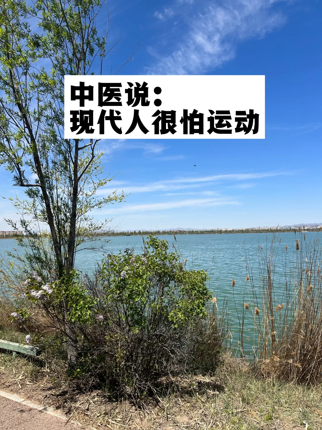 中医说：现代人很怕运动