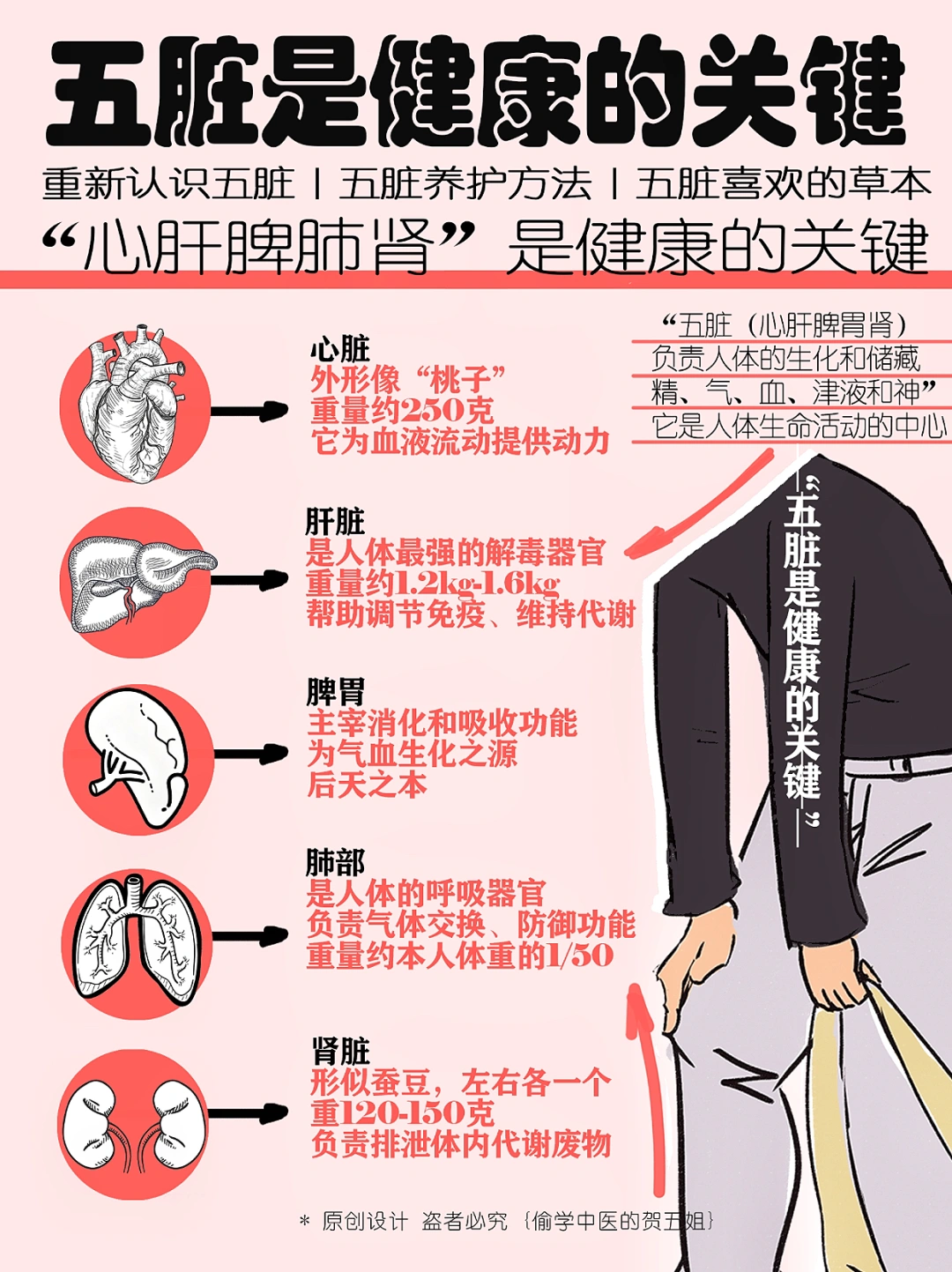 五脏是健康的关键‼心肝脾肺肾喜欢被这样养