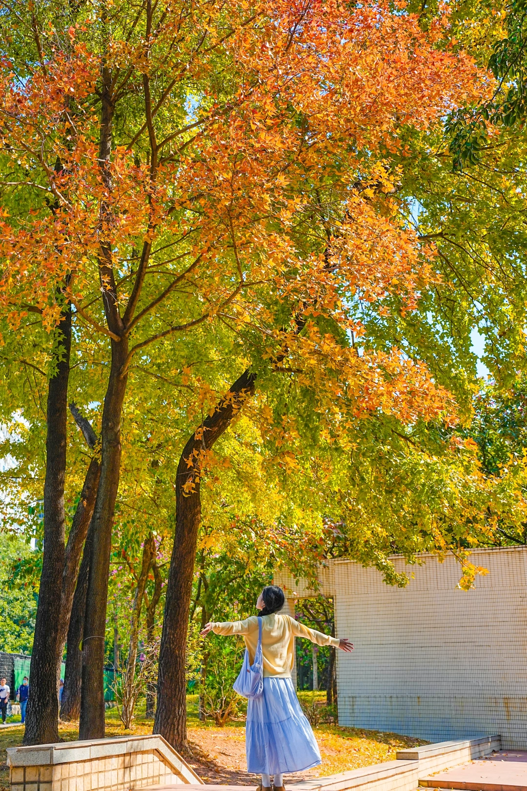 地铁直达🚇广州12月还在公园里寻秋🍁