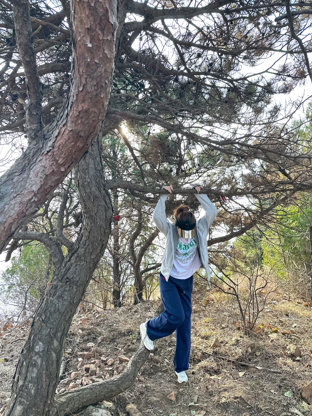 去拥抱树 去感受治愈自己