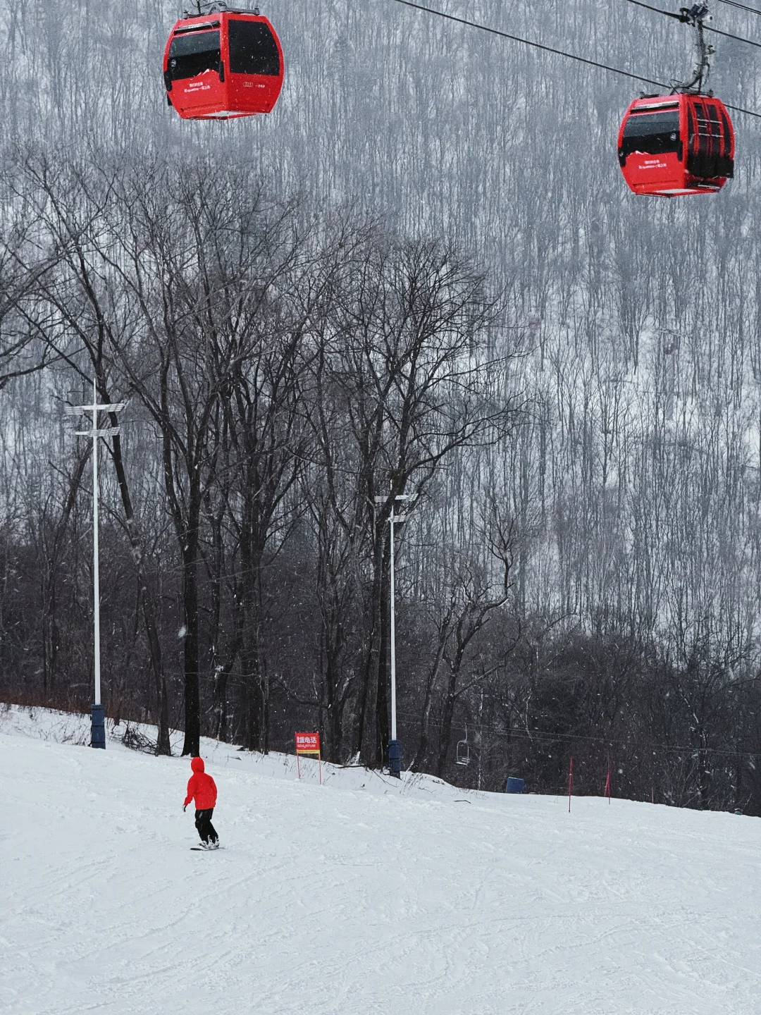滑雪的时候下雪了❄️