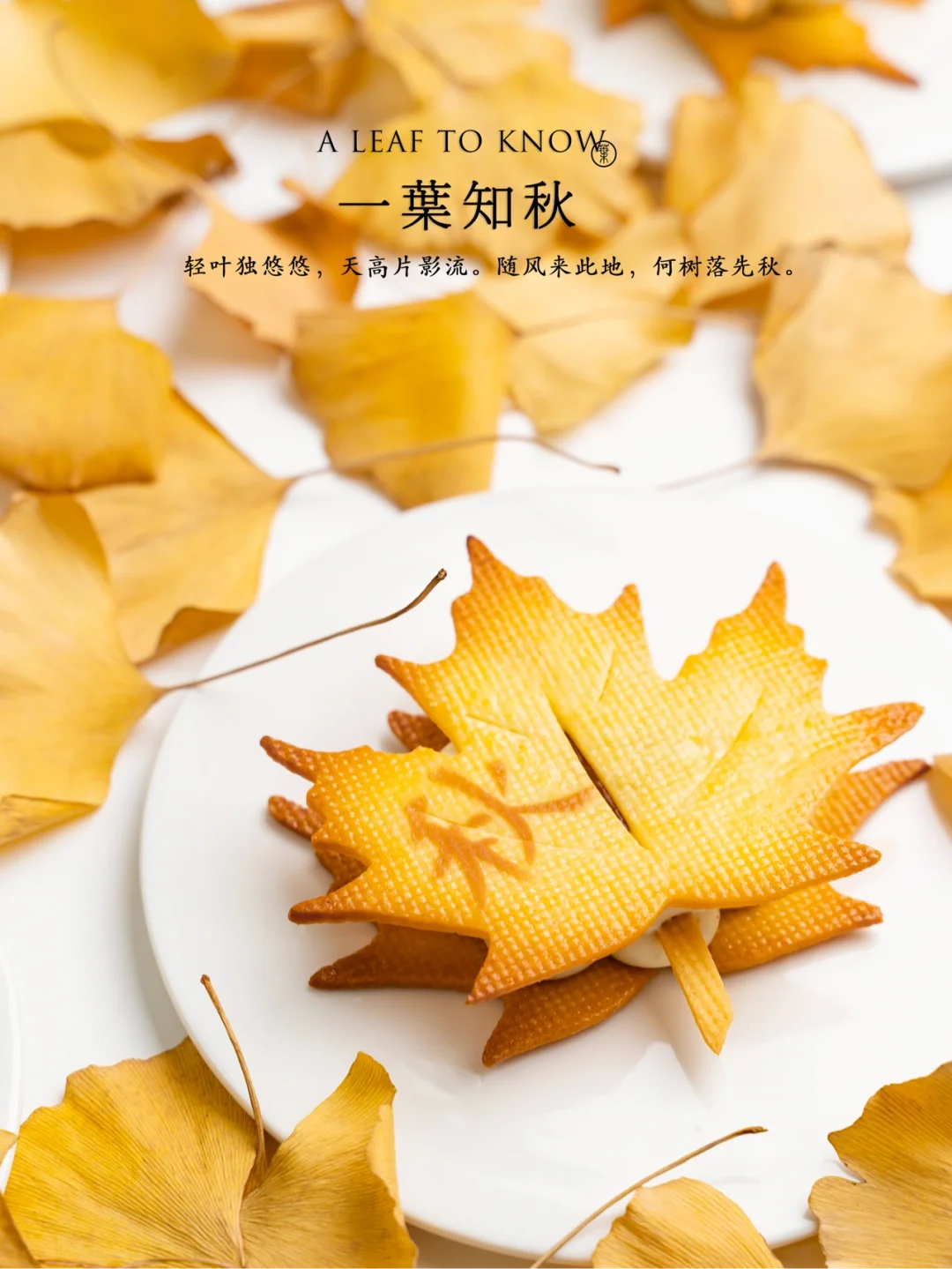 秋天的第一片落叶🍂