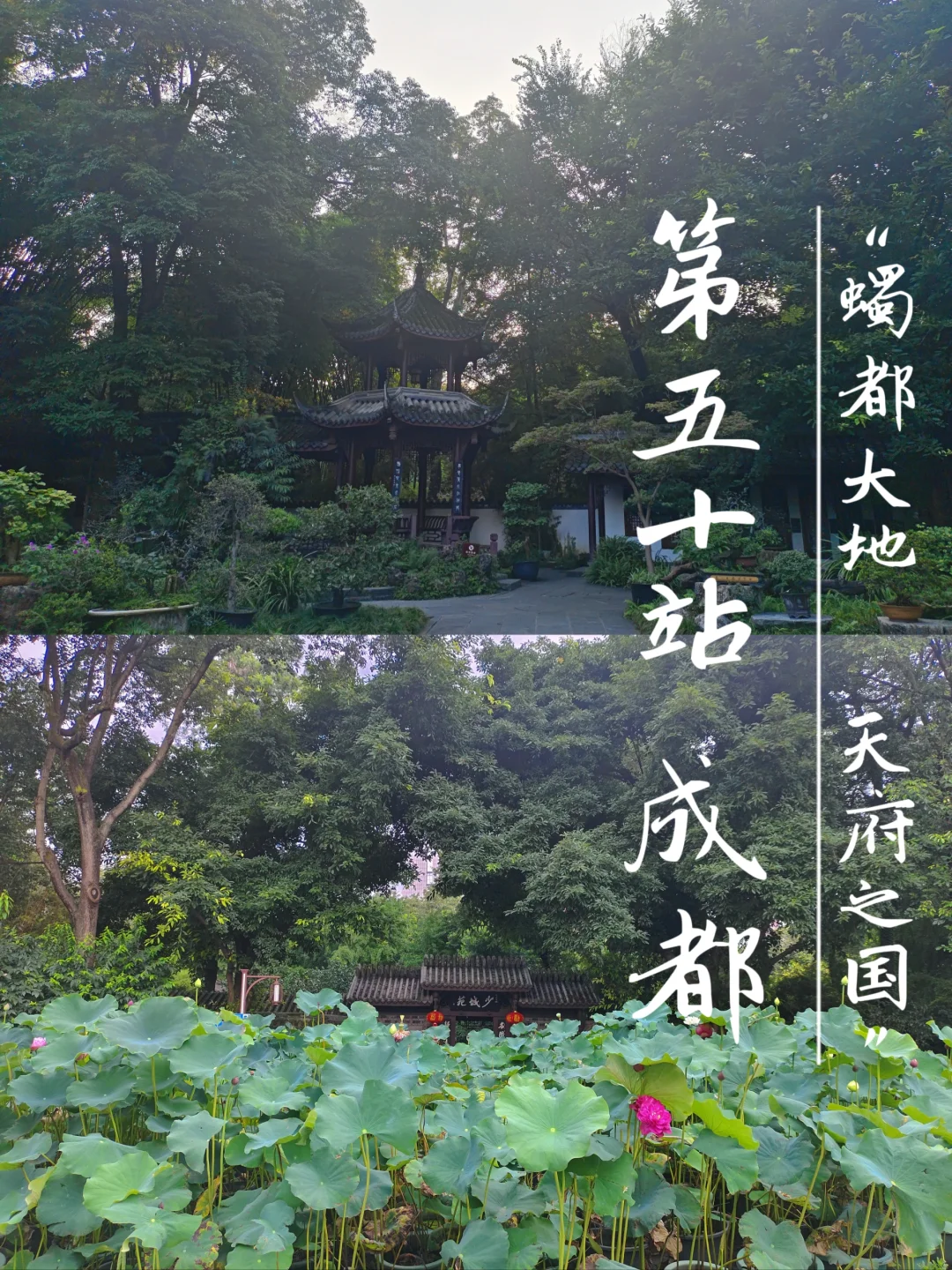 大学生穷游第50站：成都