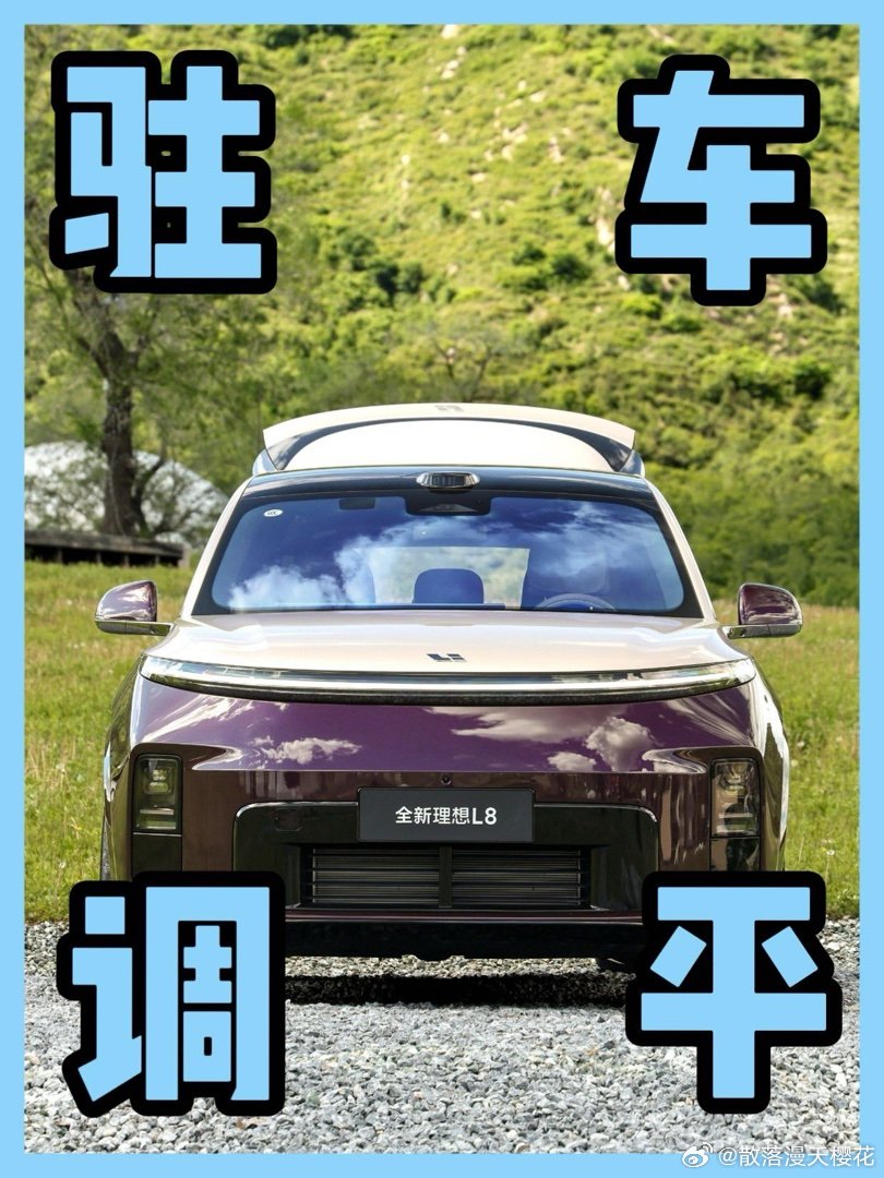 全新理想L8隐藏神仙功能|驻车调平 开理想L8这么久最被低估的宝藏功能...