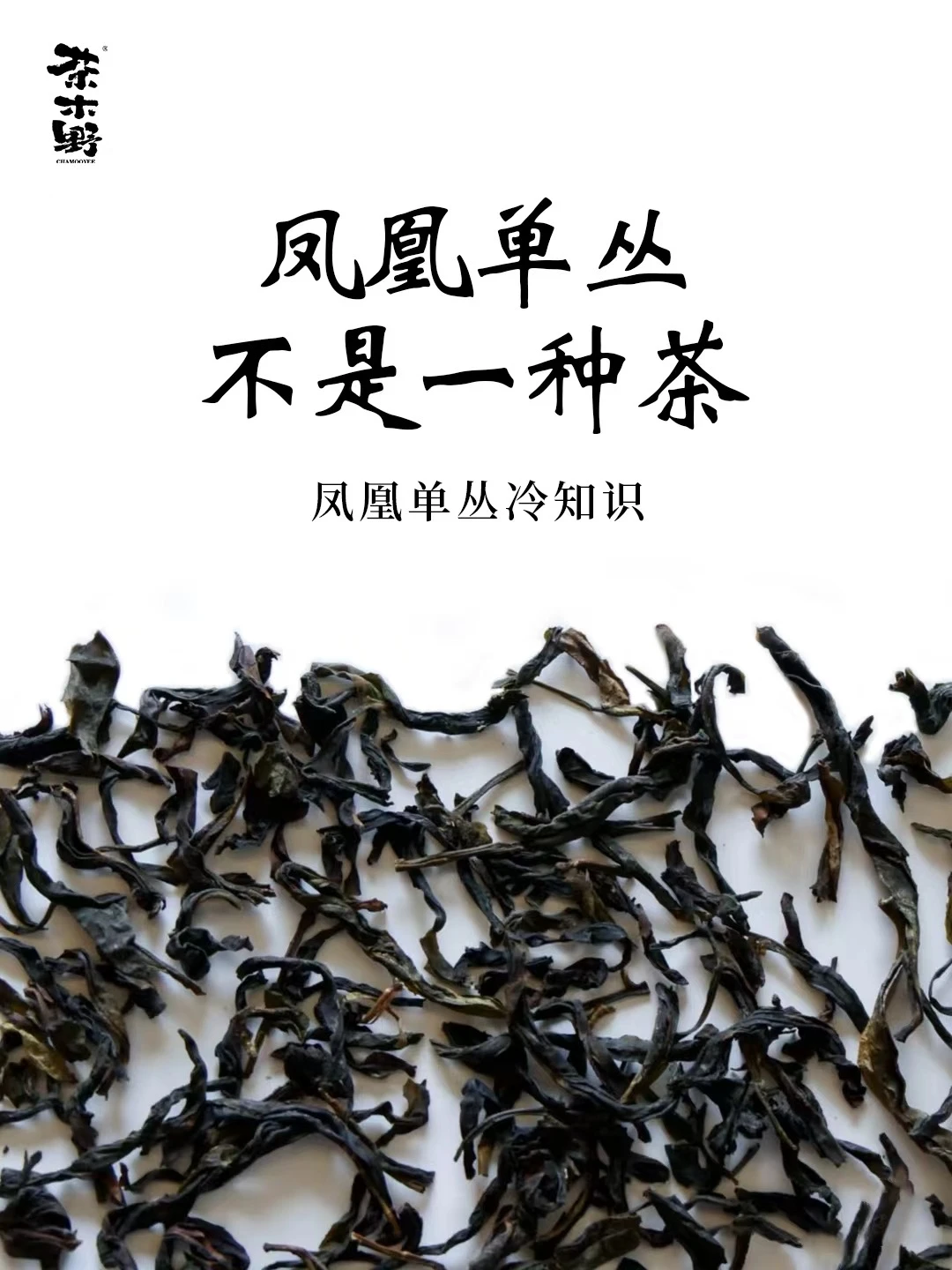 茶叶冷知识丨凤凰单丛不只是一种茶❗️❓