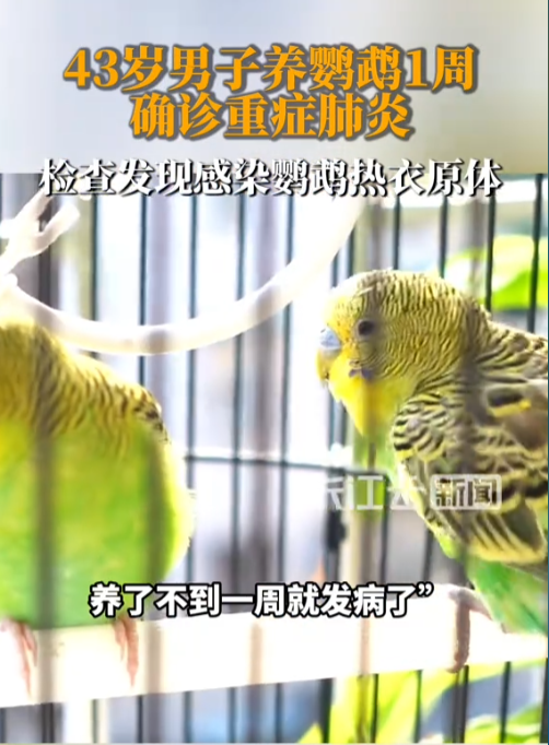 “悲剧还是发生了！”天津43岁的健身教练王先生，平日身体硬朗，却突然被一场高烧撂