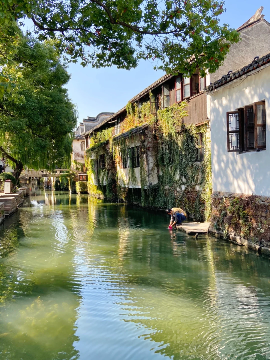 初冬时这座江南小镇，到底有多温暖治愈🌻