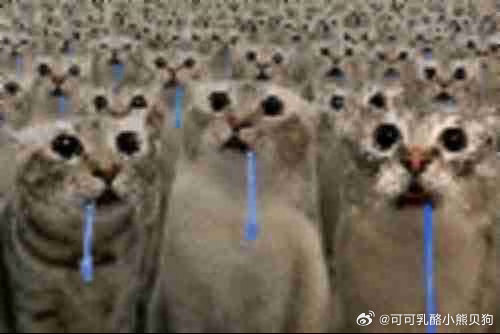 我每一天： ​​​